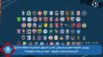 رئيس الغرفة الفرنسية يعلن تصدر السوق المصرية منطقة الشرق الأوسط وشمال إفريقيا.. فما سر هذه الهيمنة؟